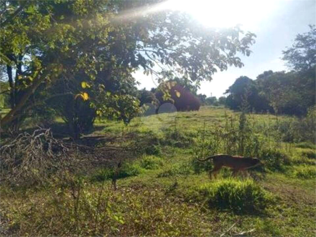 Venda Sítio Piracicaba Glebas Califórnia REO726175 33