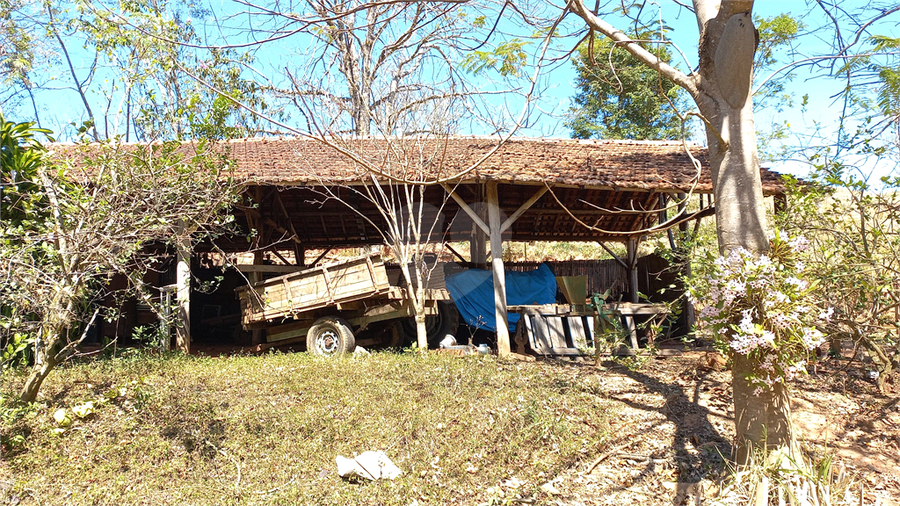 Foto REO726206