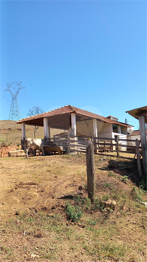 Foto REO726206