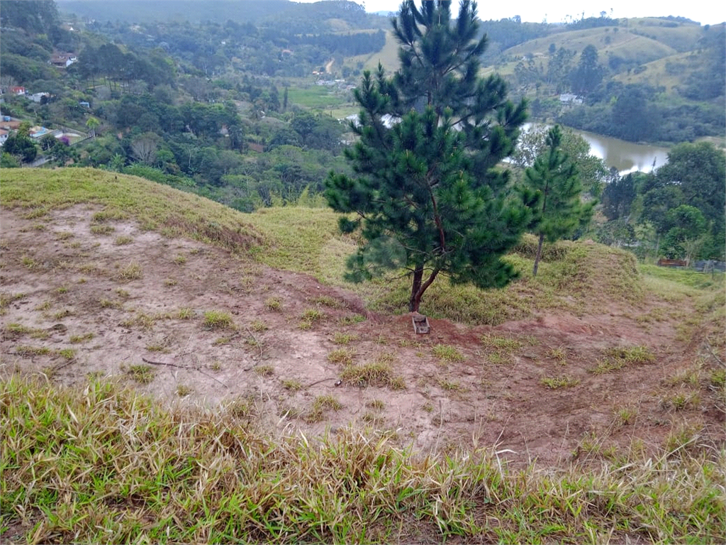 Venda Chácara Amparo Jardim Santo Antônio REO726335 17