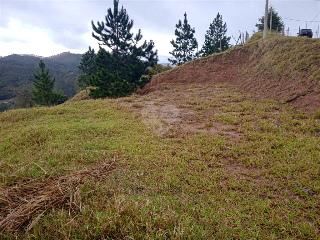 Venda Chácara Amparo Jardim Santo Antônio REO726335 11