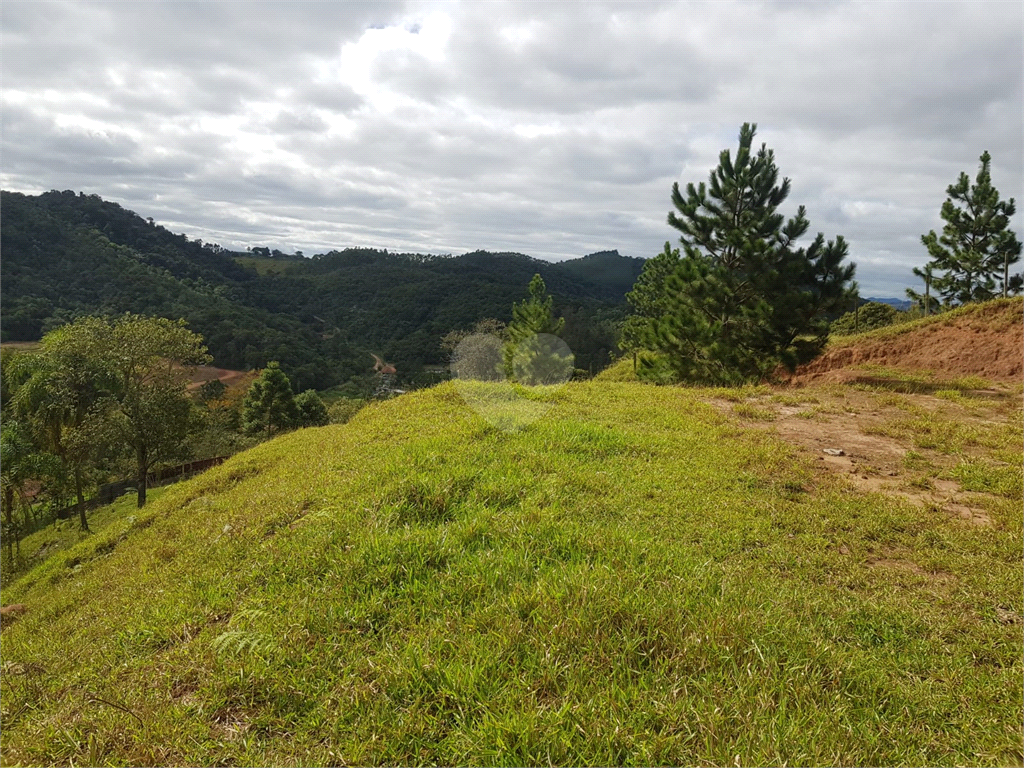 Venda Chácara Amparo Jardim Santo Antônio REO726335 8