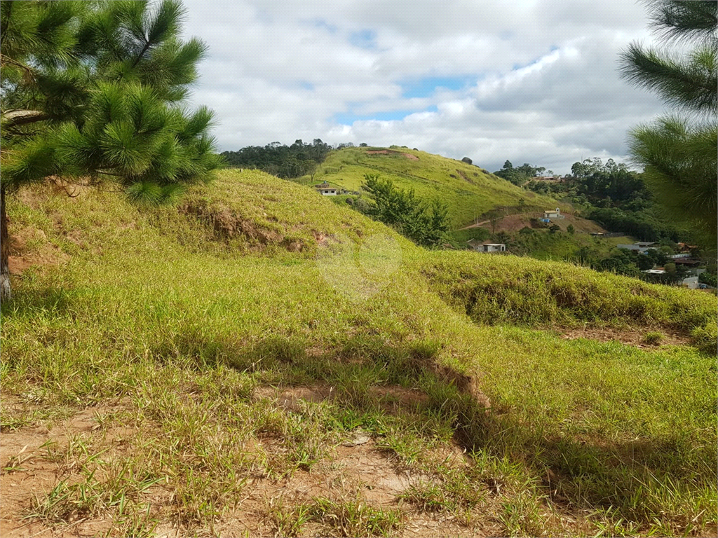 Venda Chácara Amparo Jardim Santo Antônio REO726335 19