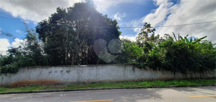 Foto REO726666