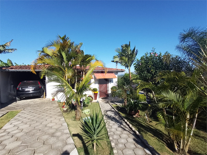 Foto REO726806