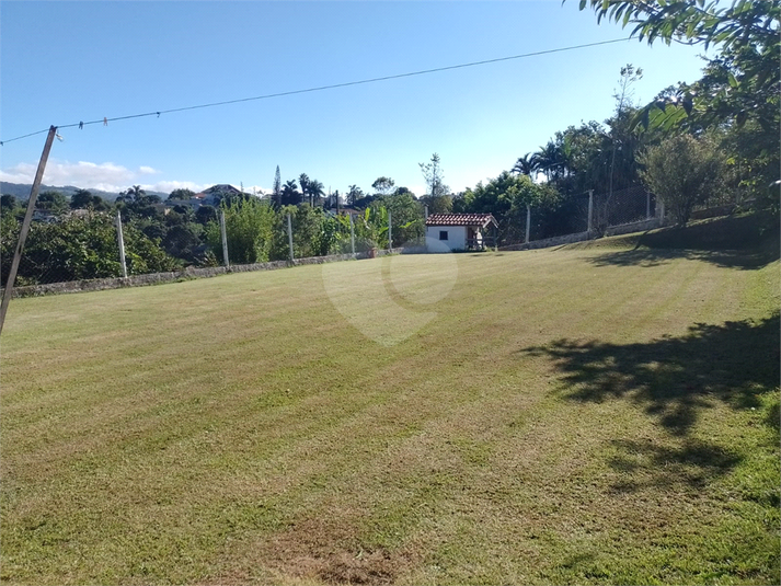 Foto REO726806