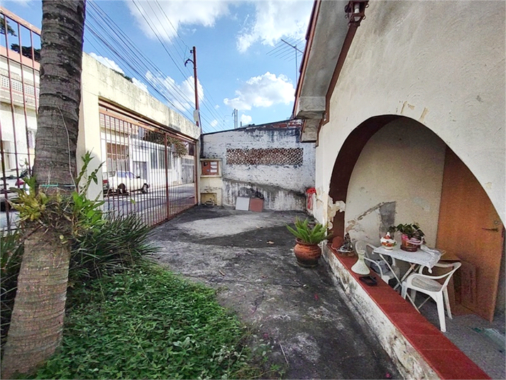 Foto REO727063