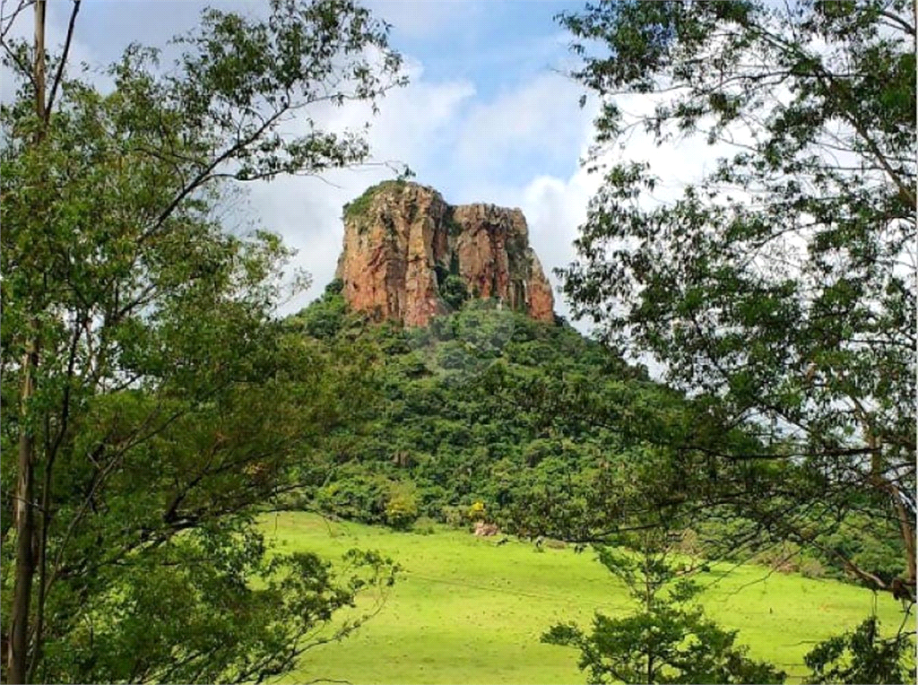 Venda Fazenda Analândia Centro REO728721 55