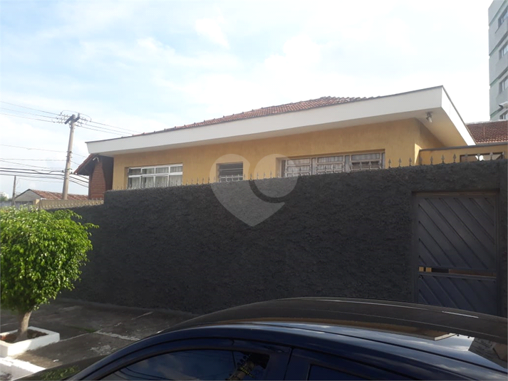 Foto REO728849