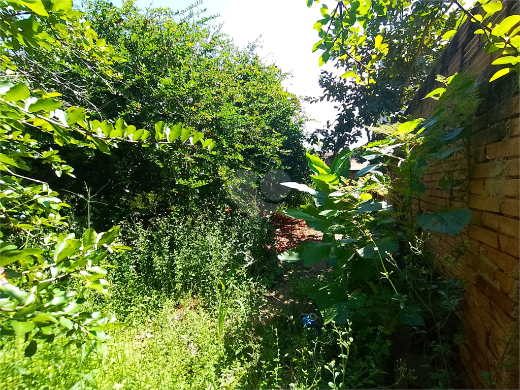 Venda Casa São João Da Boa Vista Santo Antônio REO728947 24