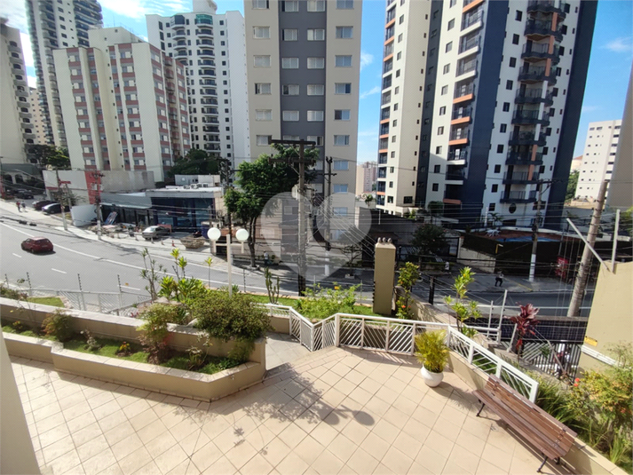 Foto REO728969