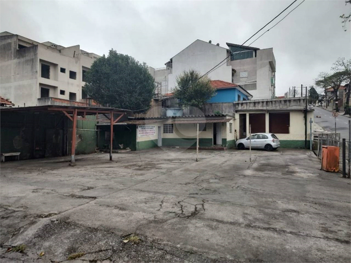Foto REO729013