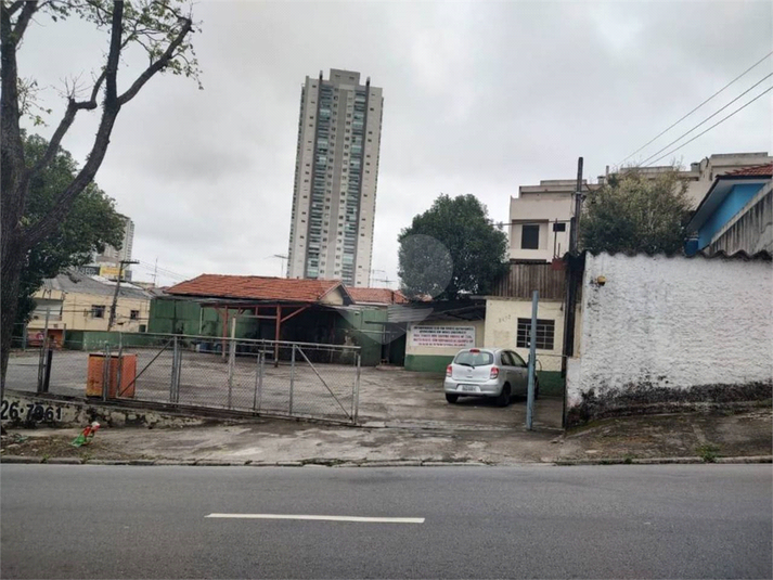 Foto REO729013