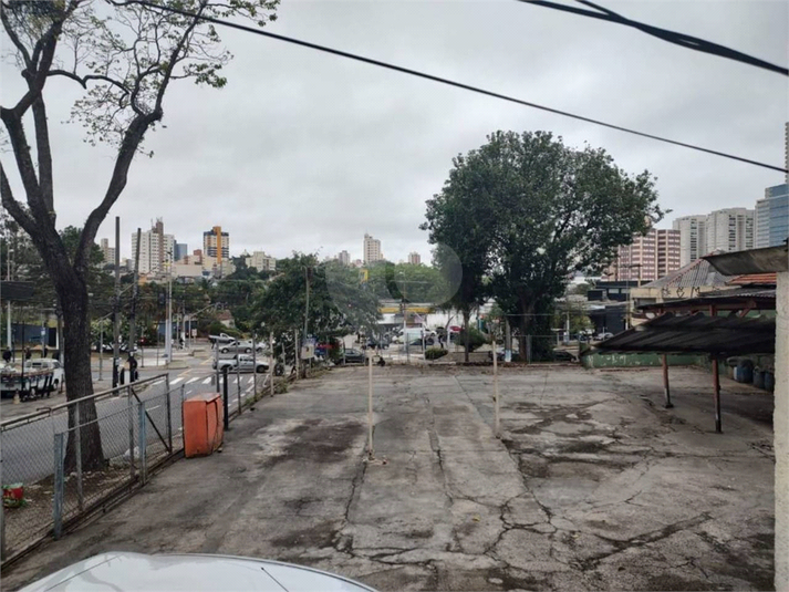 Foto REO729013
