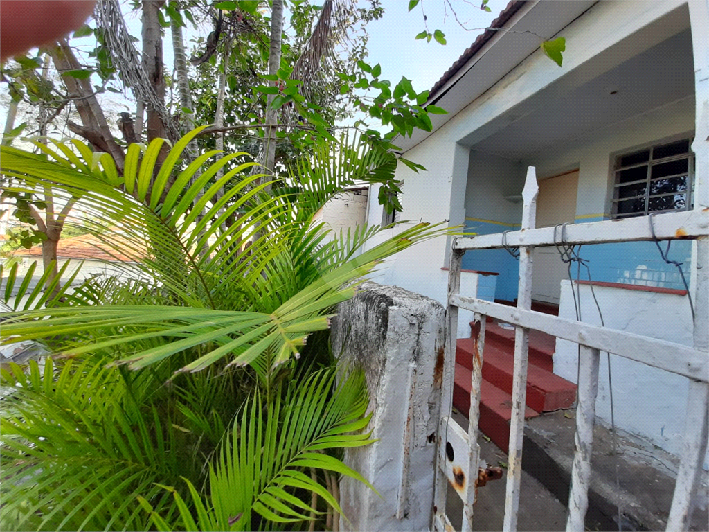 Venda Terreno São Paulo Vila Mazzei REO729185 1