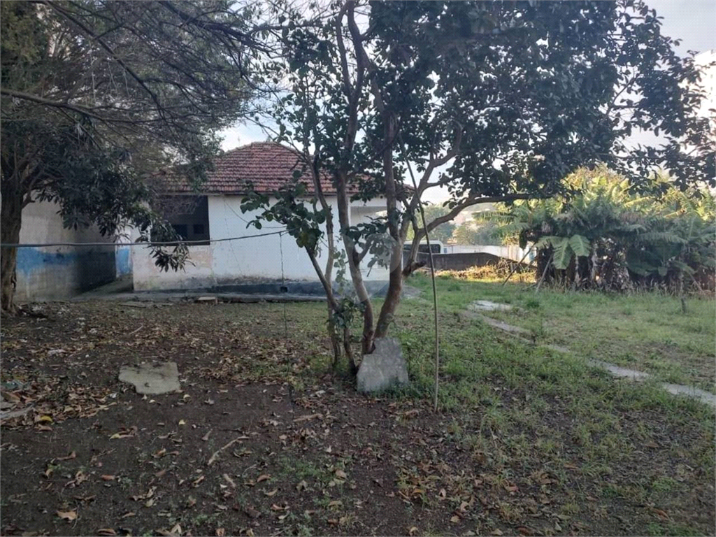 Aluguel Terreno Santo André Vila Camilópolis REO729288 8