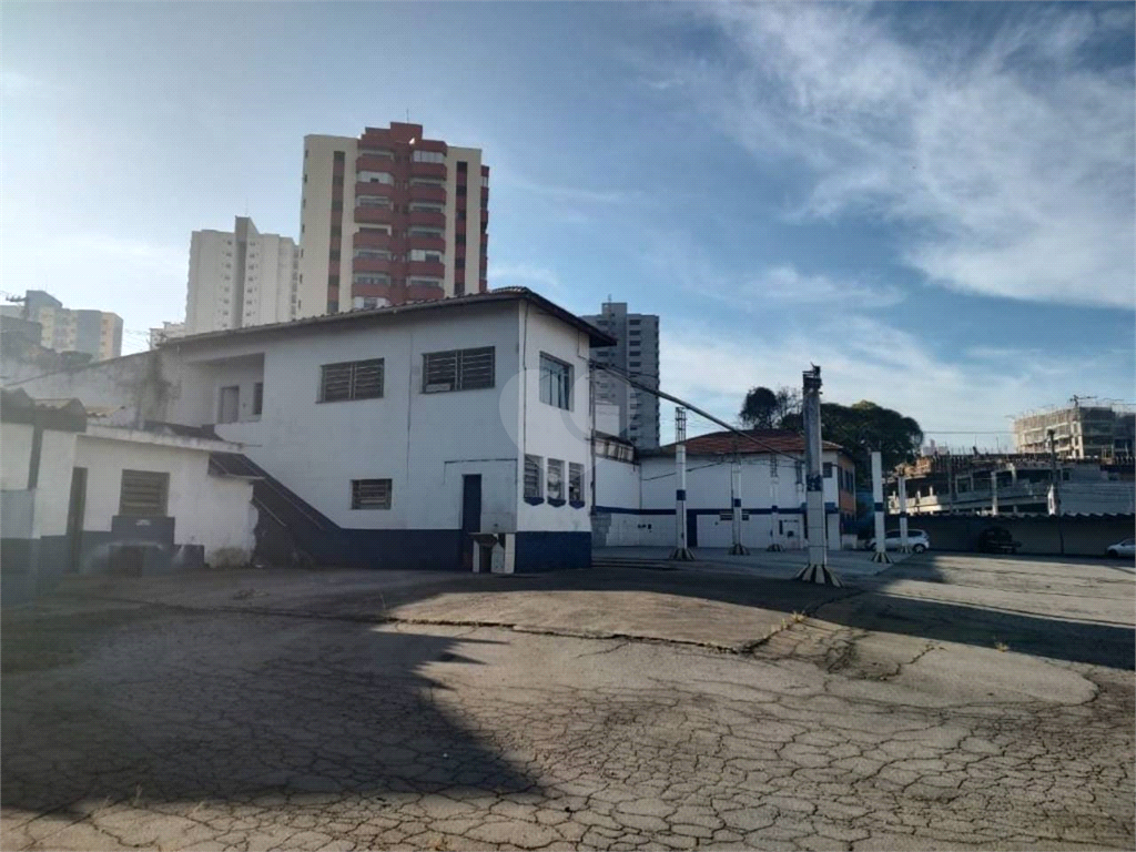 Aluguel Terreno Santo André Vila Camilópolis REO729288 29