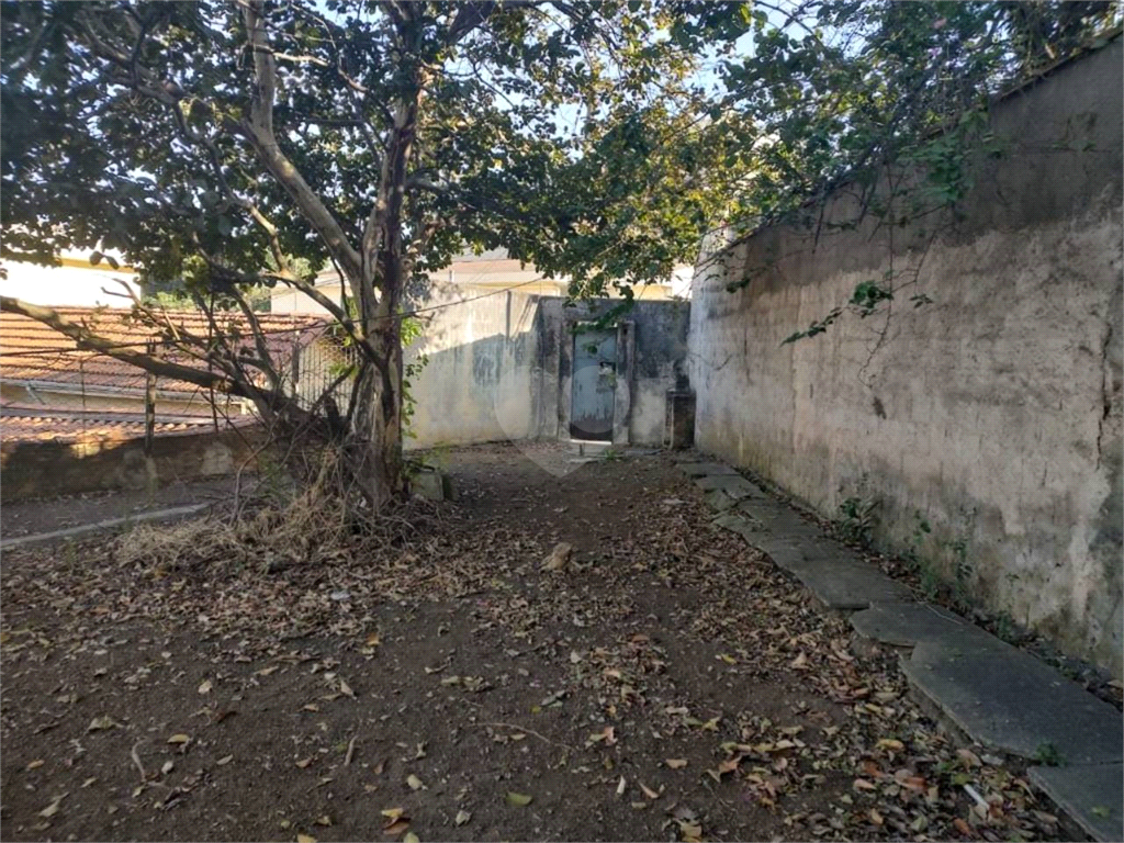 Aluguel Terreno Santo André Vila Camilópolis REO729288 25