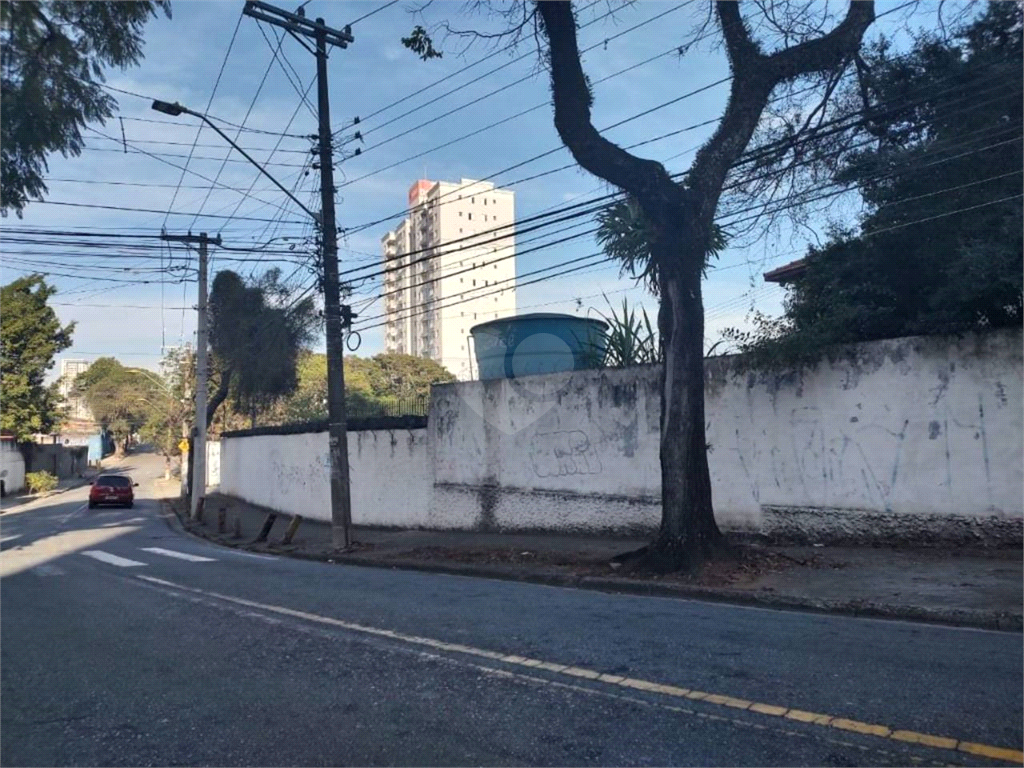 Aluguel Terreno Santo André Vila Camilópolis REO729288 24