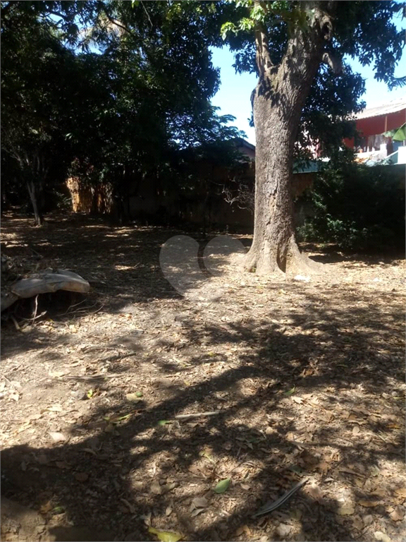 Venda Terreno Uberaba São Benedito REO729446 16