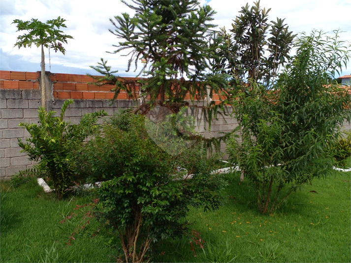 Foto REO729452