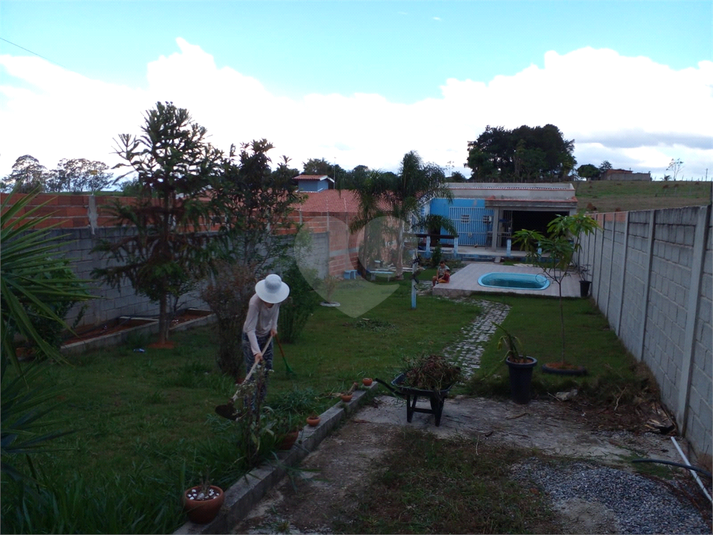 Foto REO729452