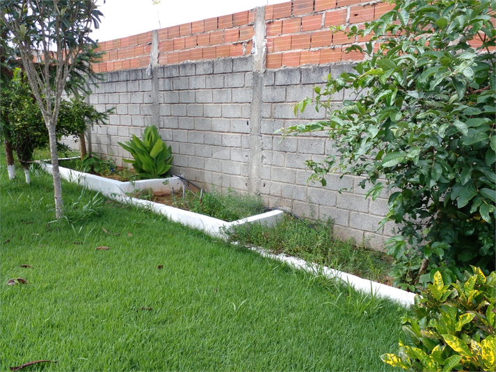 Foto REO729452