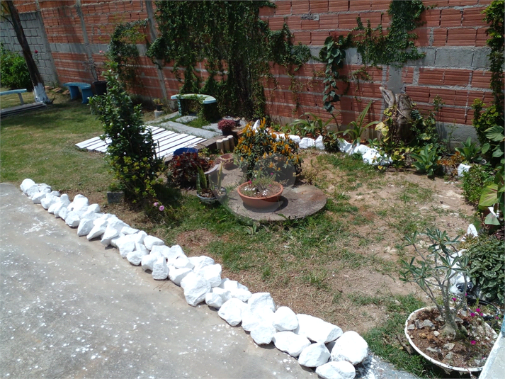 Foto REO729452