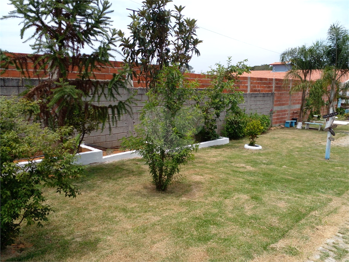 Foto REO729452