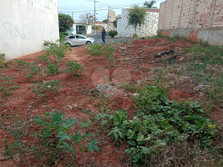 Venda Terreno Bauru Núcleo Habitacional Mary Dota REO729487 6