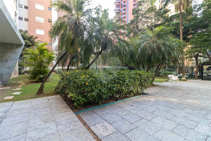Foto REO729739