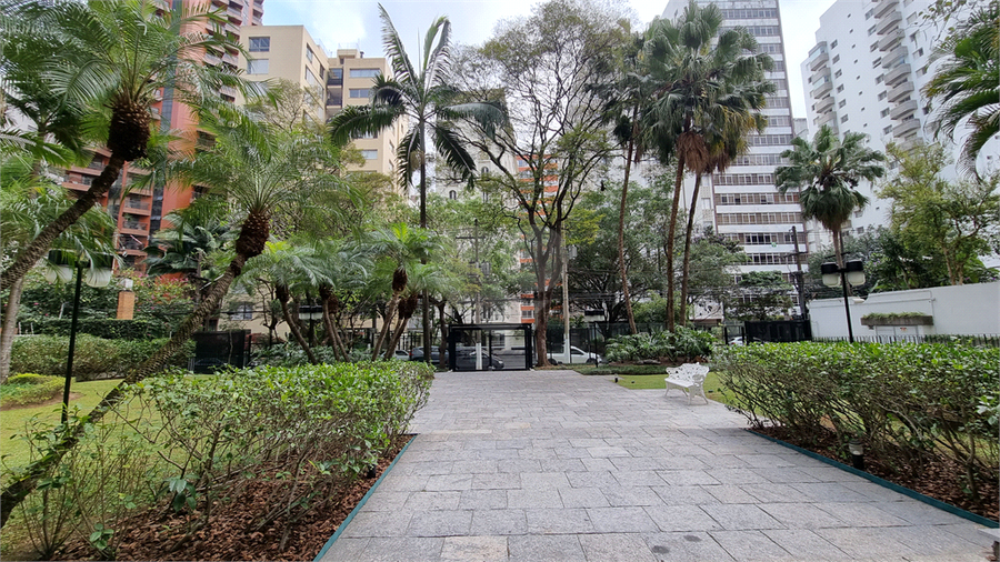 Foto REO729739