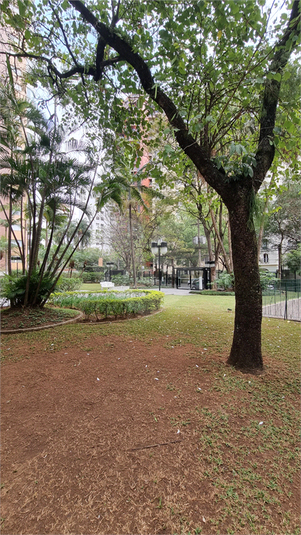 Foto REO729739