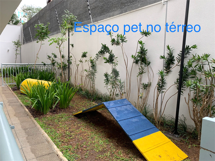 Foto REO729835