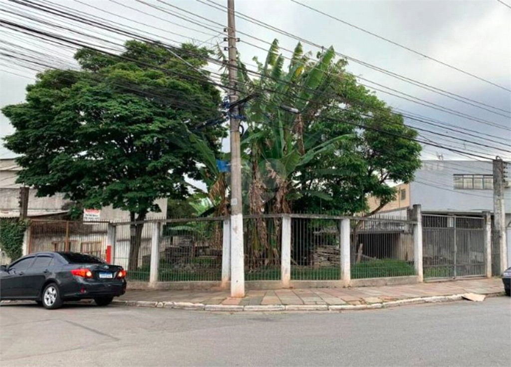 Venda Terreno São Paulo Jardim Iracema REO729868 3