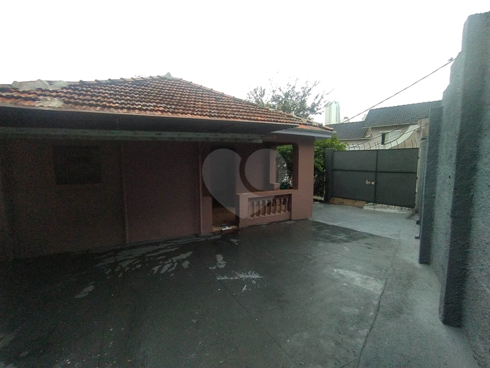 Foto REO729912