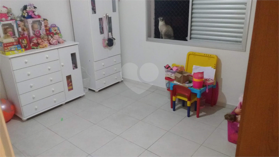 Foto REO729928