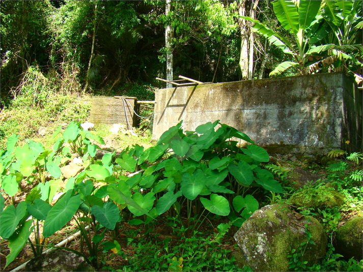 Venda Fazenda Casimiro De Abreu Professor Souza REO730019 64