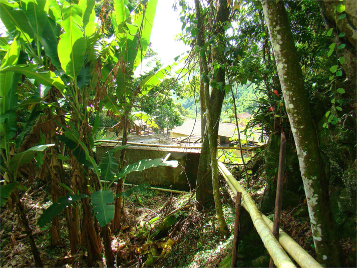 Venda Fazenda Casimiro De Abreu Professor Souza REO730019 56