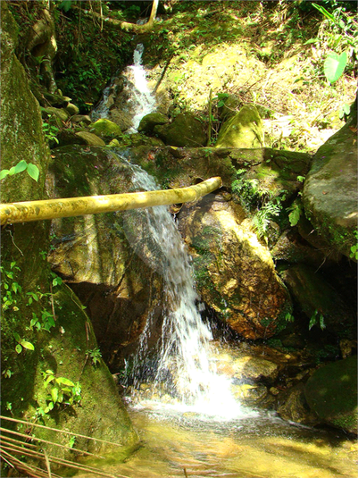 Venda Fazenda Casimiro De Abreu Professor Souza REO730019 37