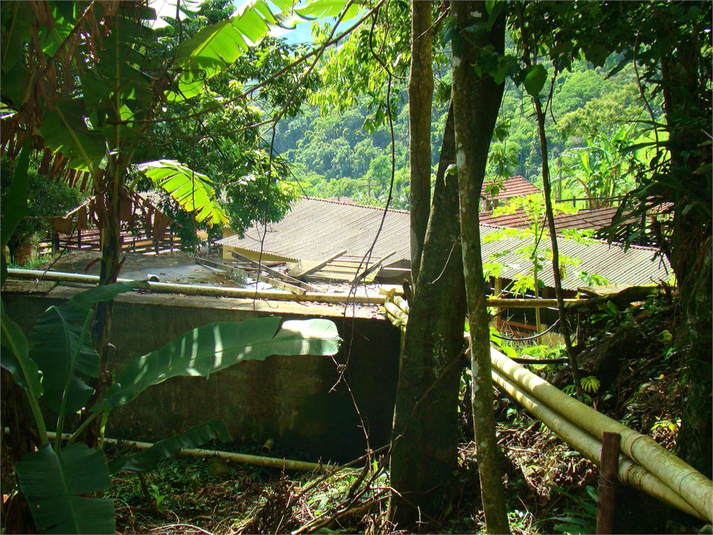 Venda Fazenda Casimiro De Abreu Professor Souza REO730019 65