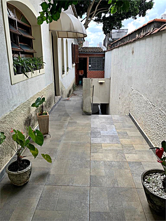 Venda Casa São Paulo Vila Bertioga REO730152 2