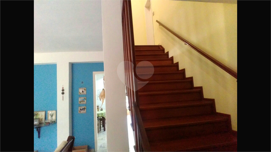 Foto REO730419