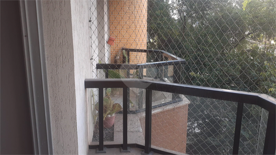 Foto REO730739