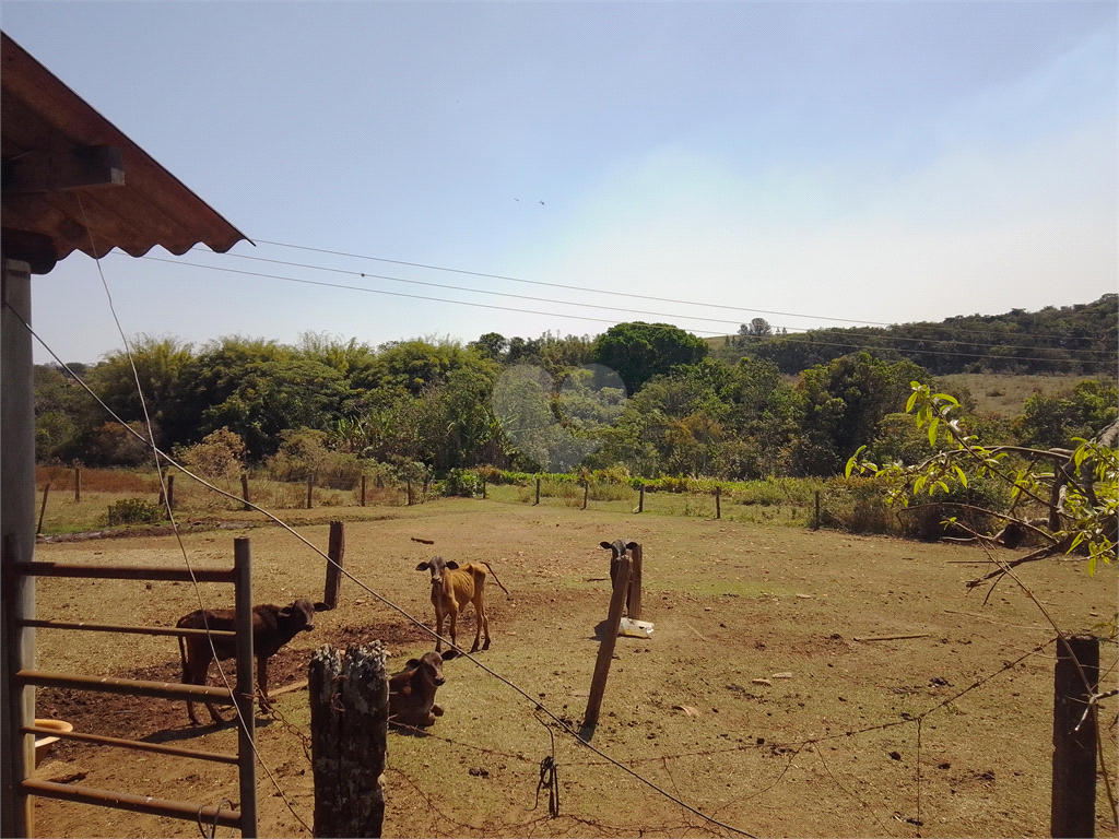 Venda Sítio Não Definido Água Vermelha REO730783 26