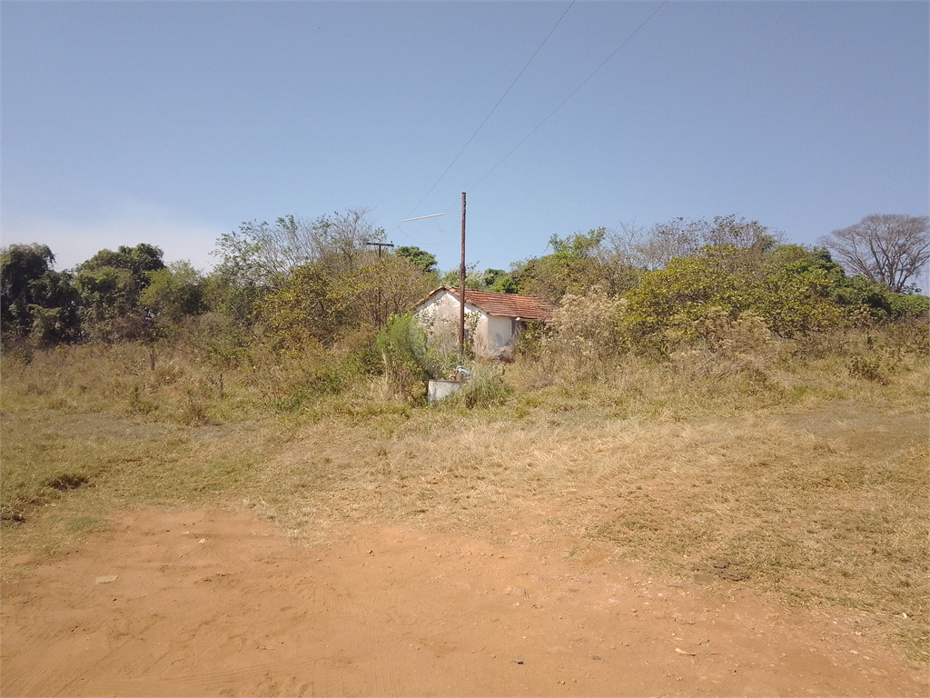 Venda Sítio Não Definido Água Vermelha REO730783 21