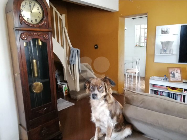 Foto REO731049