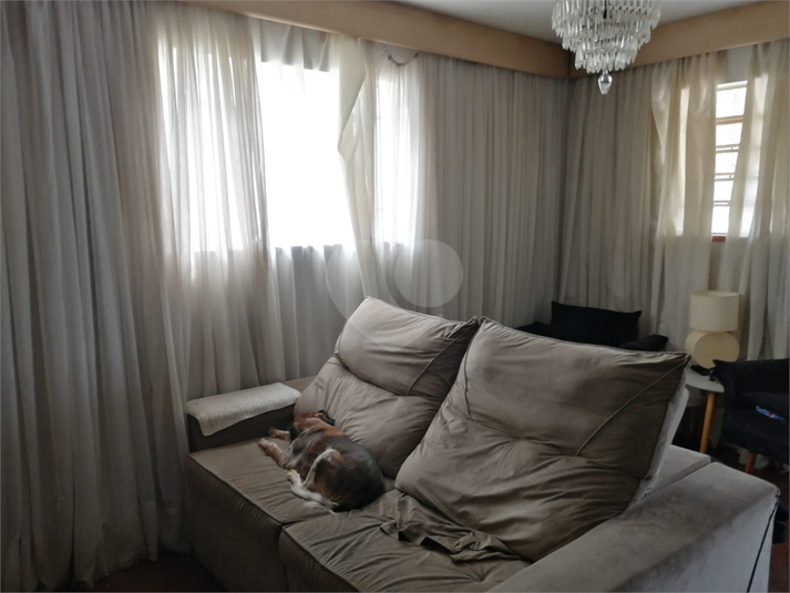 Foto REO731049