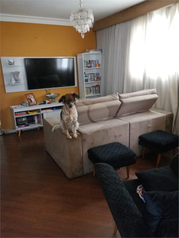 Foto REO731049