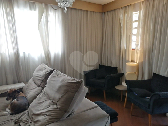 Foto REO731049